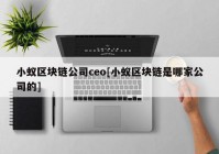 小蚁区块链公司ceo[小蚁区块链是哪家公司的]